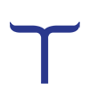 Toyam Industries Limited logo