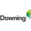 Downing Strategic Micro-Cap Investment Trust Plc logo