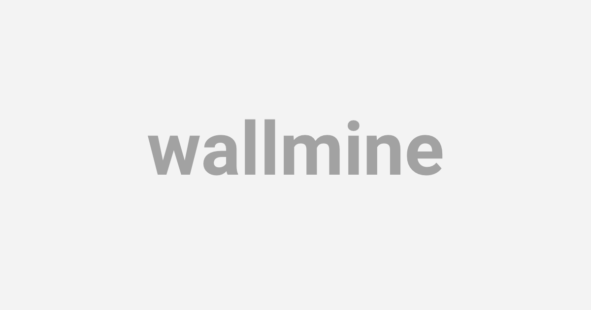 ｓ ｐとナスダックが最高値更新 ｉｔ株が高い Wallmine