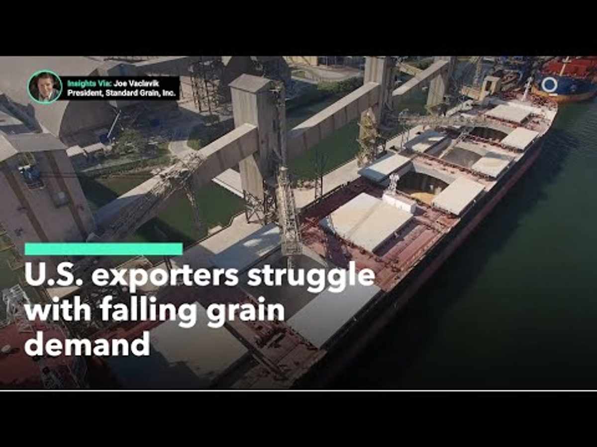 U.S. Grain Exports Suffer Steep Decline